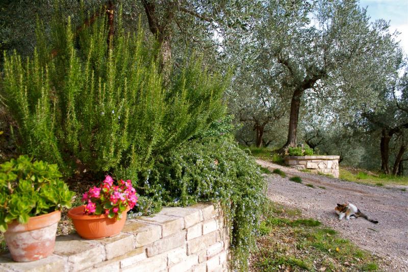 B&B Lavanda e Rosmarino - image 38