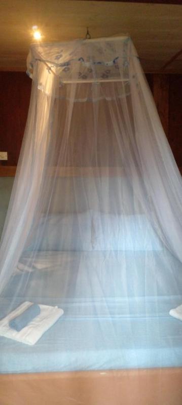 Cool Banyan Cabana - image 32
