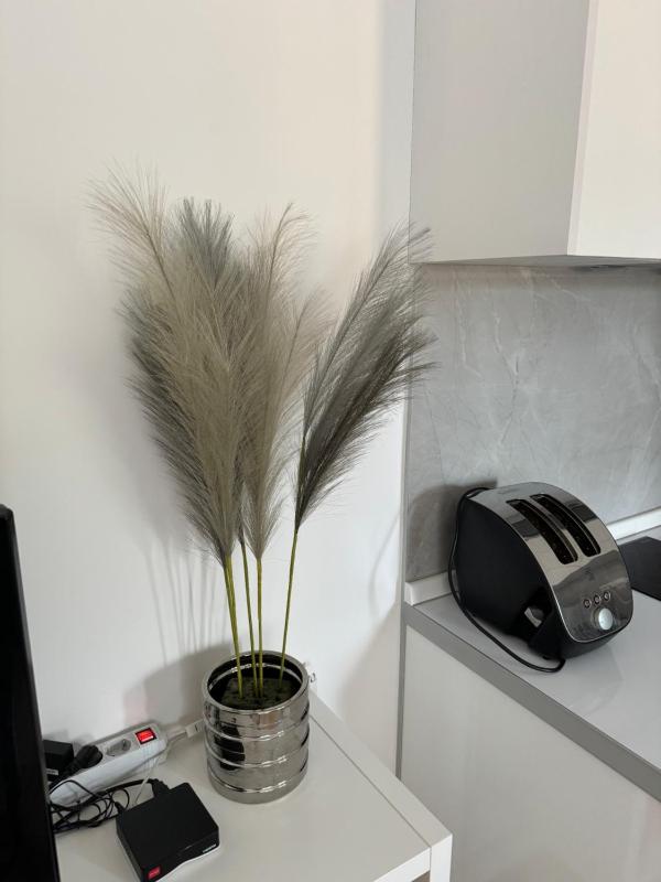 Apartman PORTO - image 11