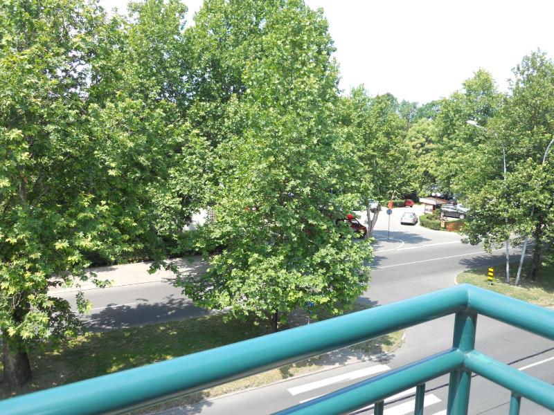 One-Bedroom Apartment image 3