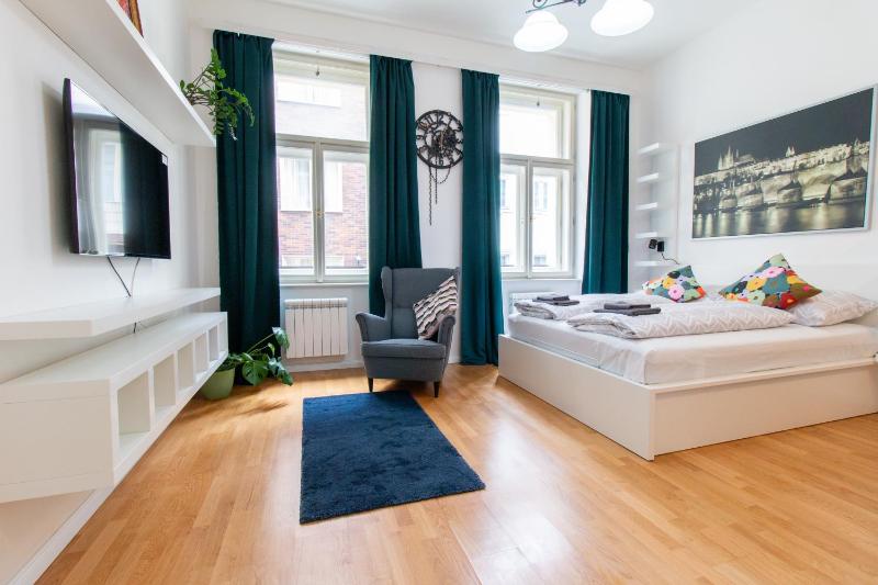 What a Flat on Stepanska - image 11