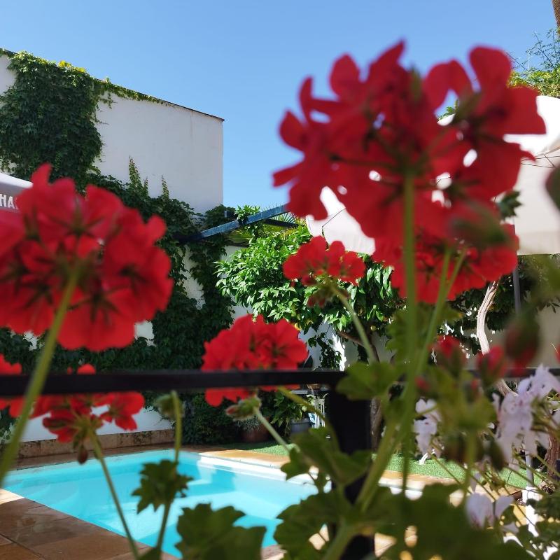 Suite Comares - image 16