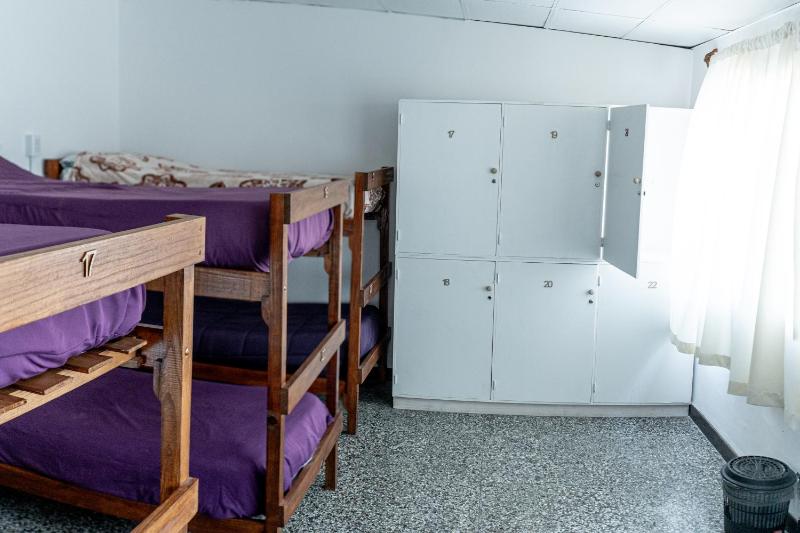 Bed in 8-Bed Dormitory Room image 1