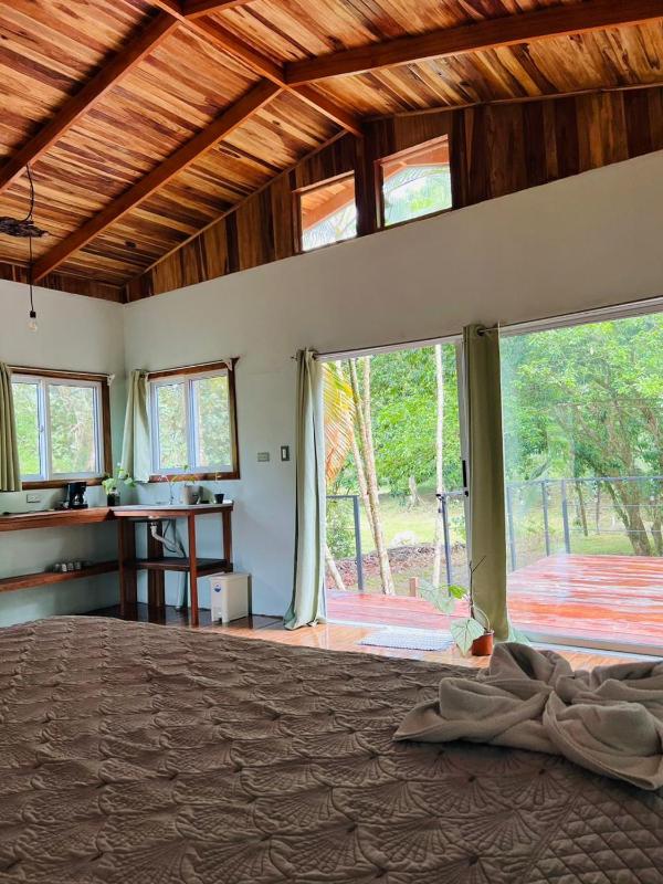 Ficus house - image 14