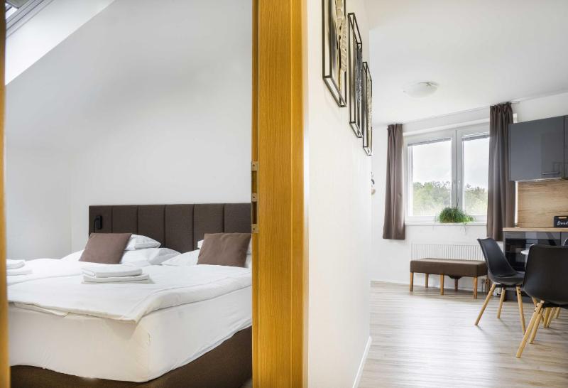 One-Bedroom Apartment image 3
