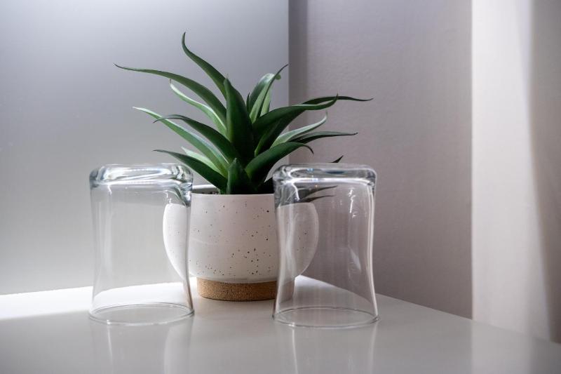 Deluxe Suite image 3