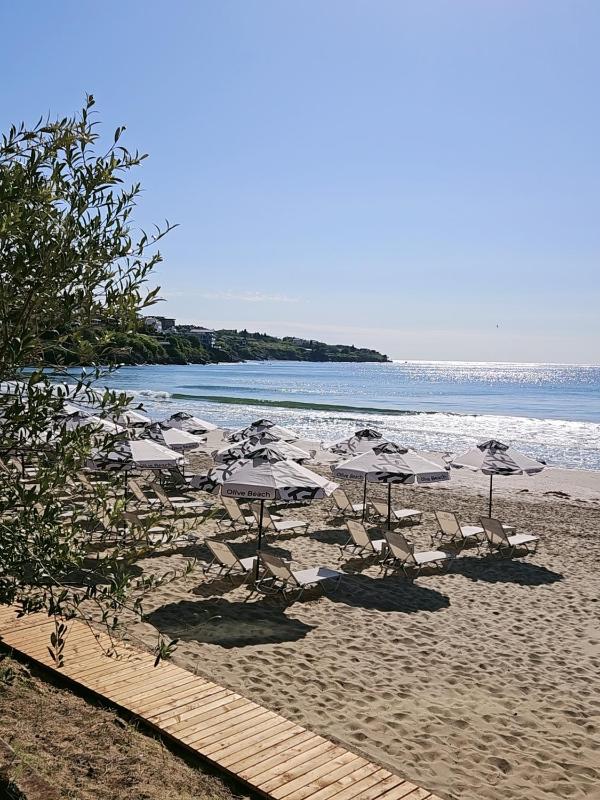 Olive Villas Beach Hotel - image 29