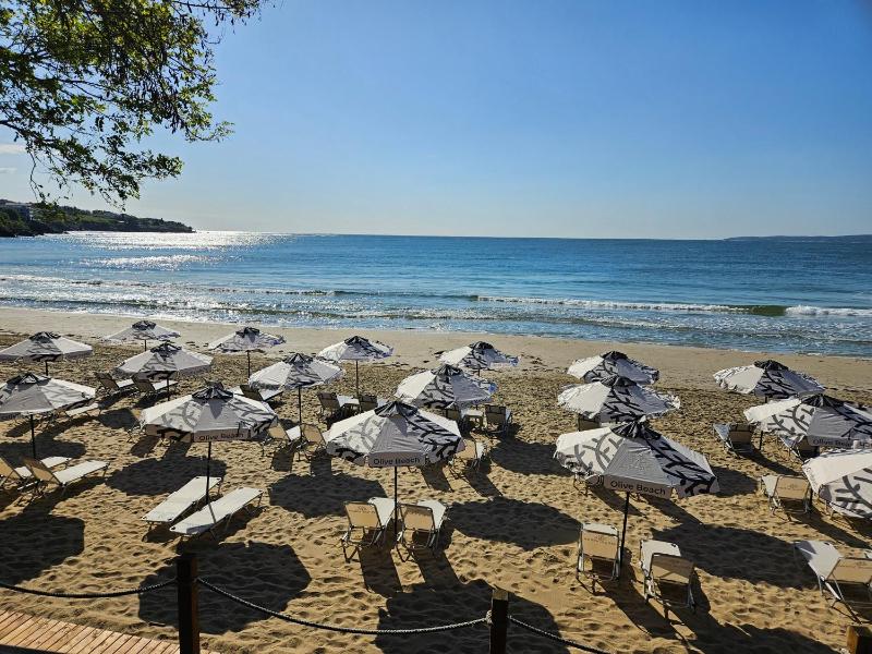 Olive Villas Beach Hotel - image 8