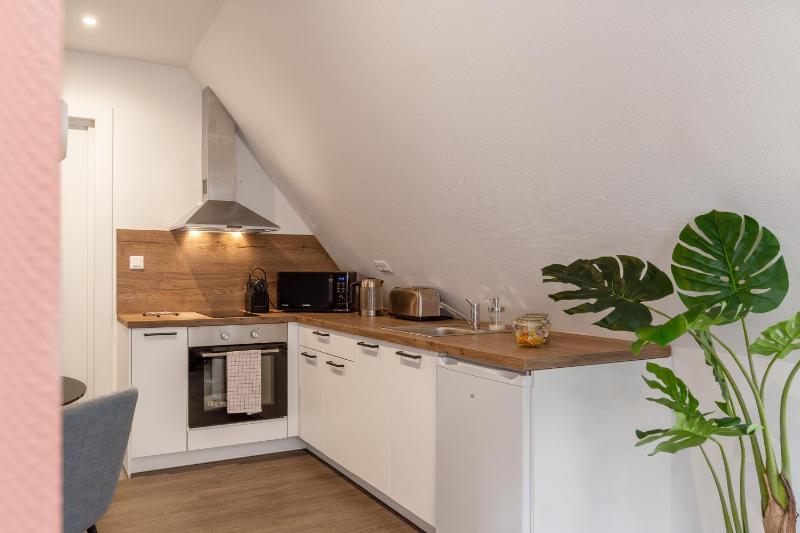 Travel Homes - Republic charm in the heart of Colmar - image 9