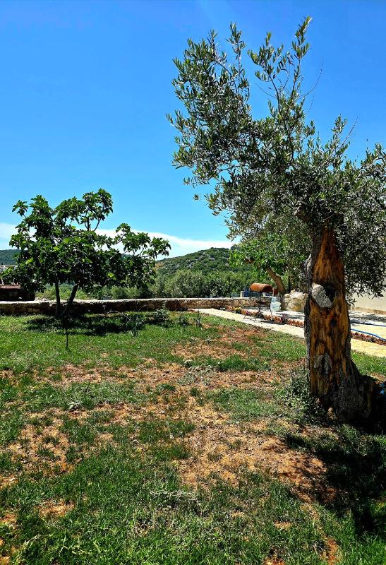 Ambelas Getaways - image 9