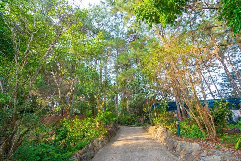 Pine Hill Villas & Camping - image 11