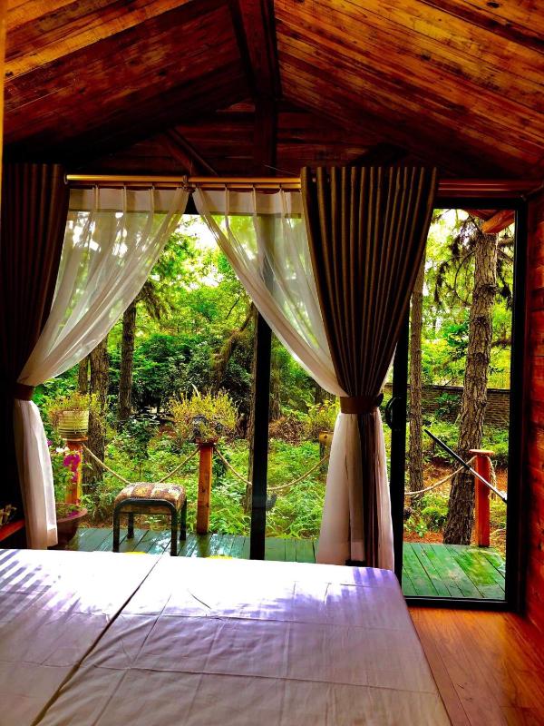 Pine Hill Villas & Camping - image 31