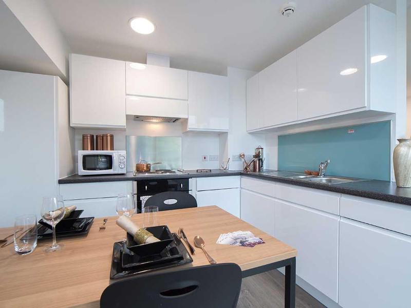 For Students Only Print Hall 10 min walk to University of Bristol - image 16