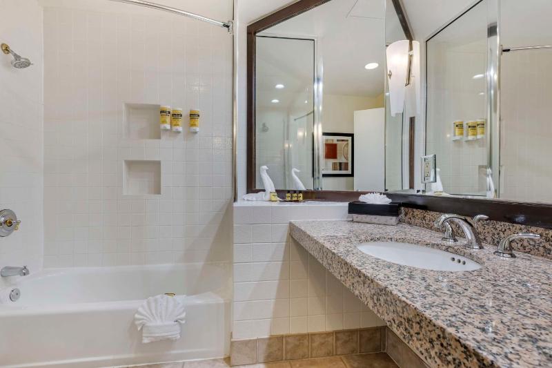 King Suite - Non-Smoking image 3