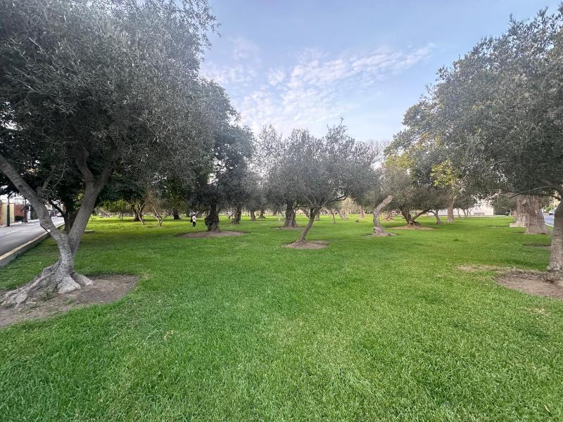 Aparts 4 Days San Isidro Olivar 2 bedroom Apartment - image 16
