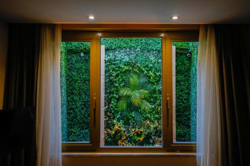 Standard Family Room image 2