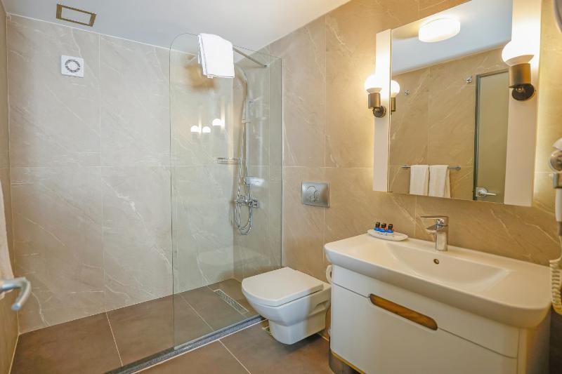 Superior Double or Twin Room image 4