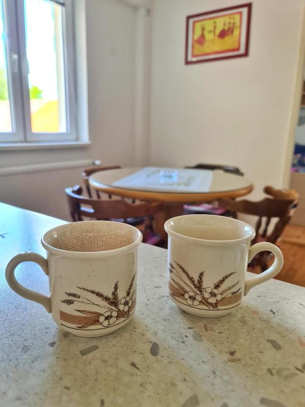 Maja V Apartmani Sokobanja - image 12