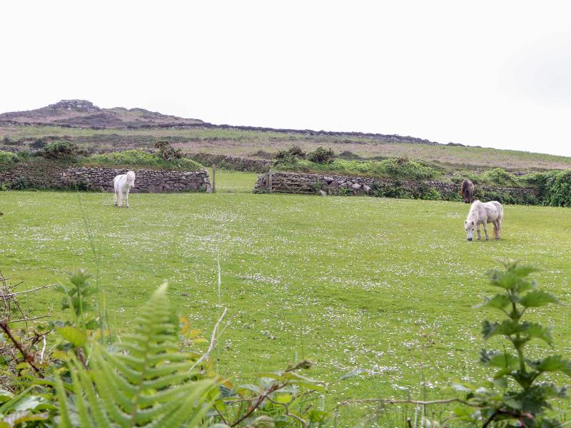 Carn House - image 13