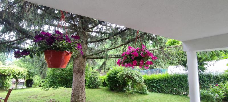 Garden House - image 7