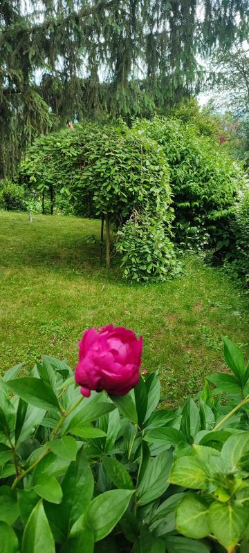 Garden House - image 5