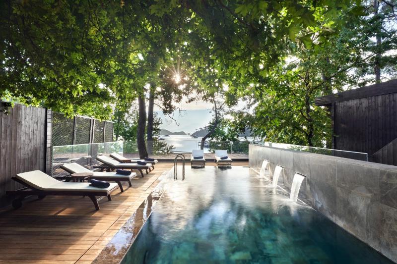 Premium Villa image 3