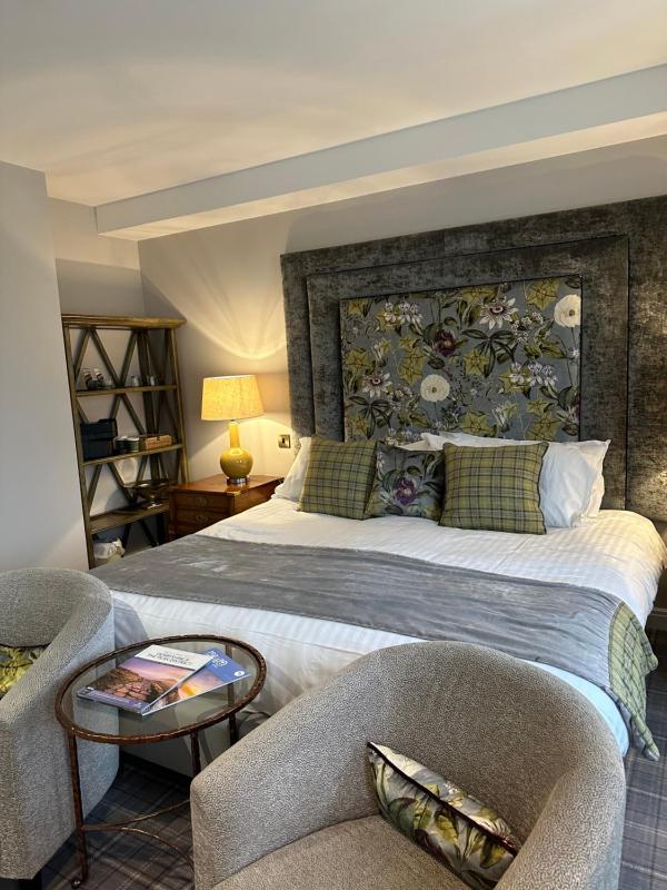 Superior Accesible Room image 1