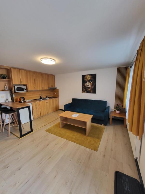 Apartmany Tereza & free parking - image 7
