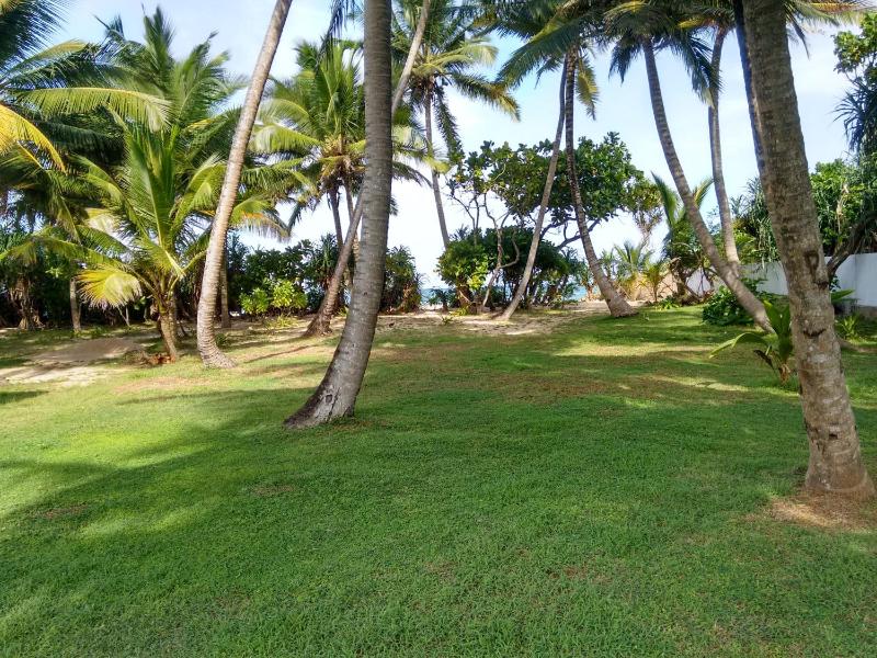 Sunrise Beach Inn - image 17