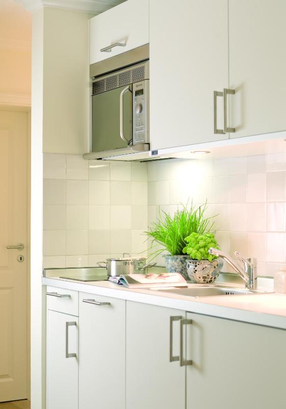 Large Luxury Apartment image 3