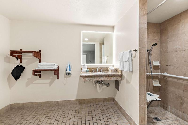 King Room with Roll-in Shower - Non-Smoking image 2