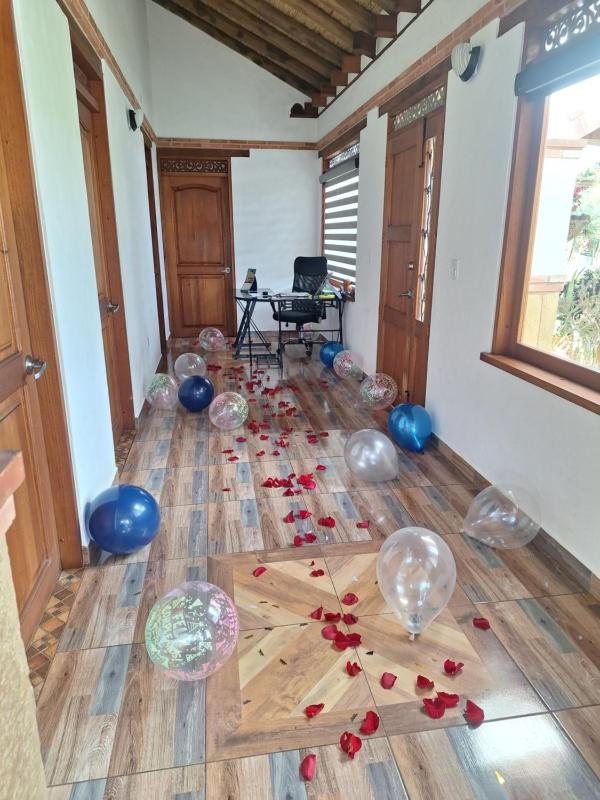 Home Boutique Flores Amarillas - image 14