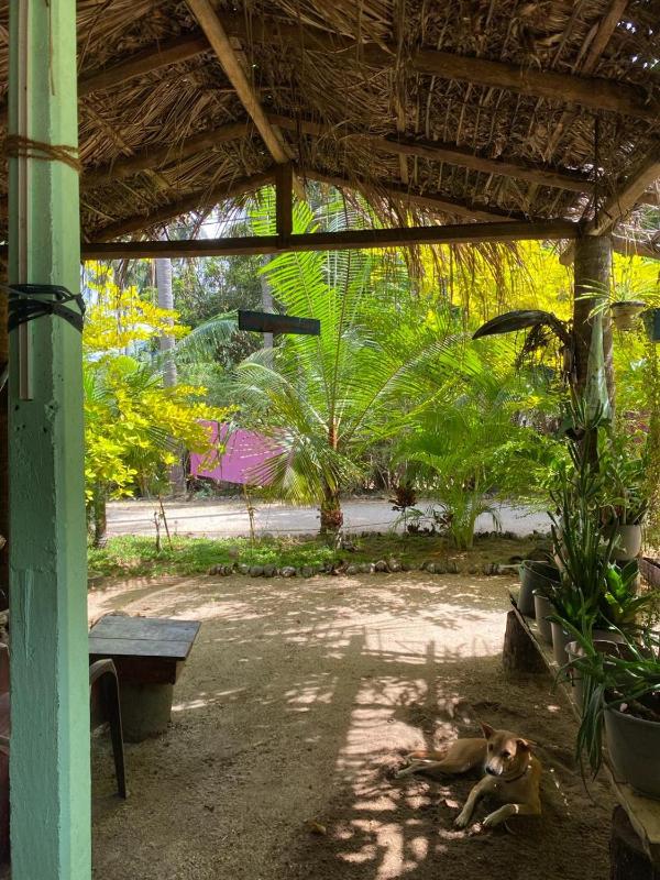 Elena Garden Resort and Restaurant - image 25
