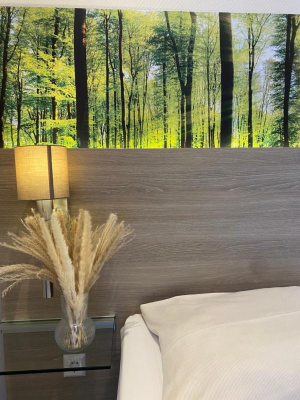 Single Room image 4