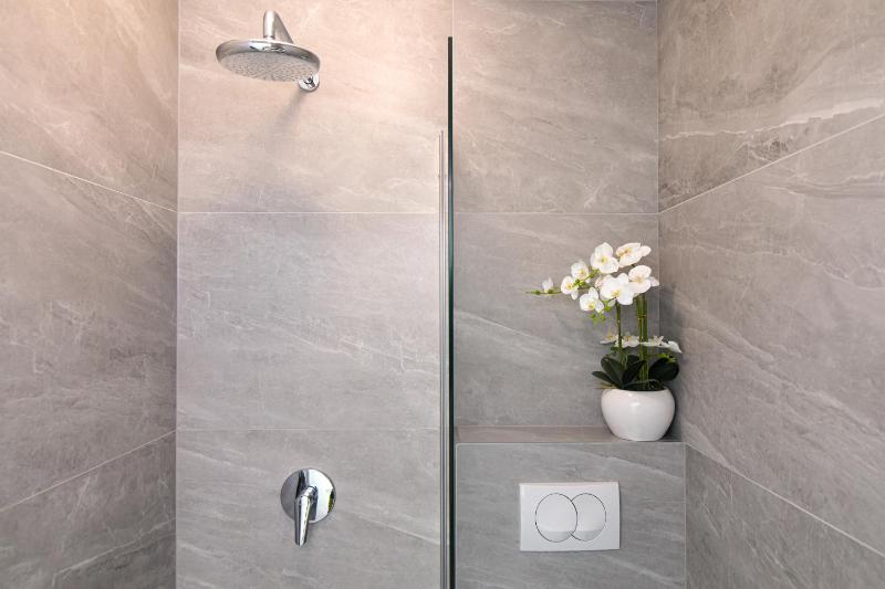 One-Bedroom Apartment image 4