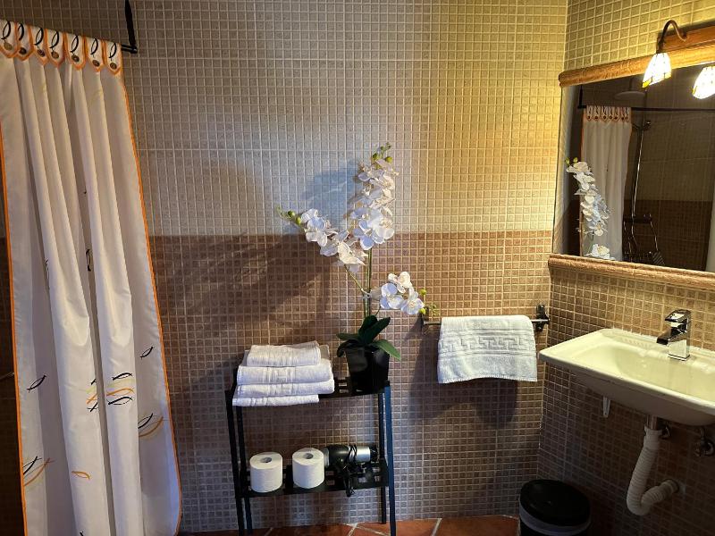 Double Room - Disability Access image 4