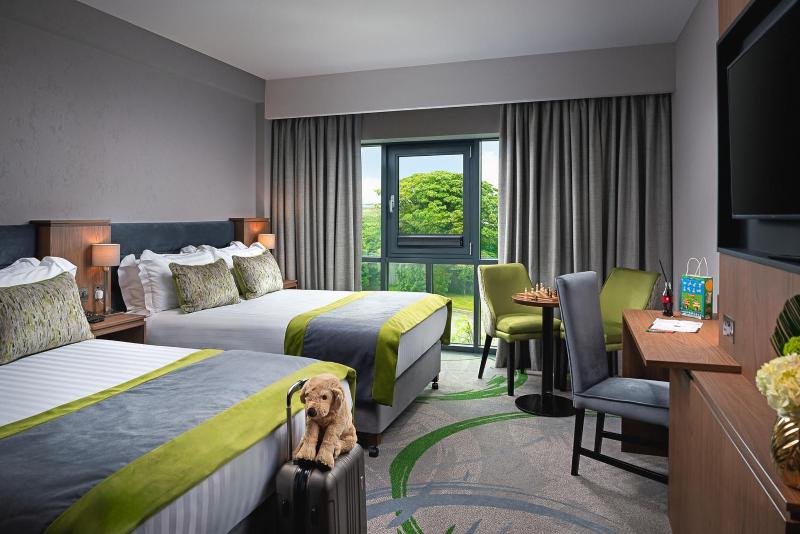 Premium Twin Double Room image 1
