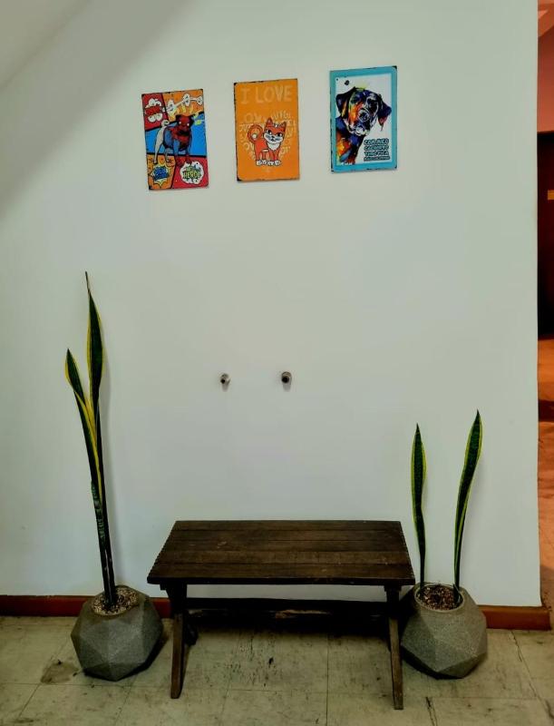 Cool Living Hostel - Praça da Liberdade - image 10