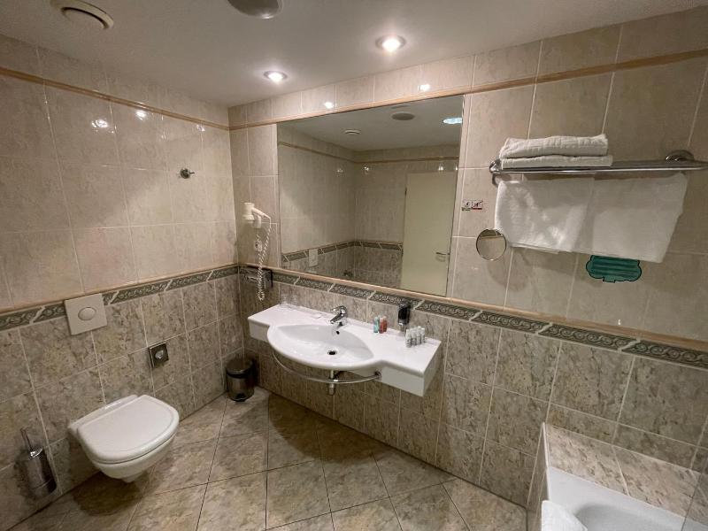 Business Double Room image 3