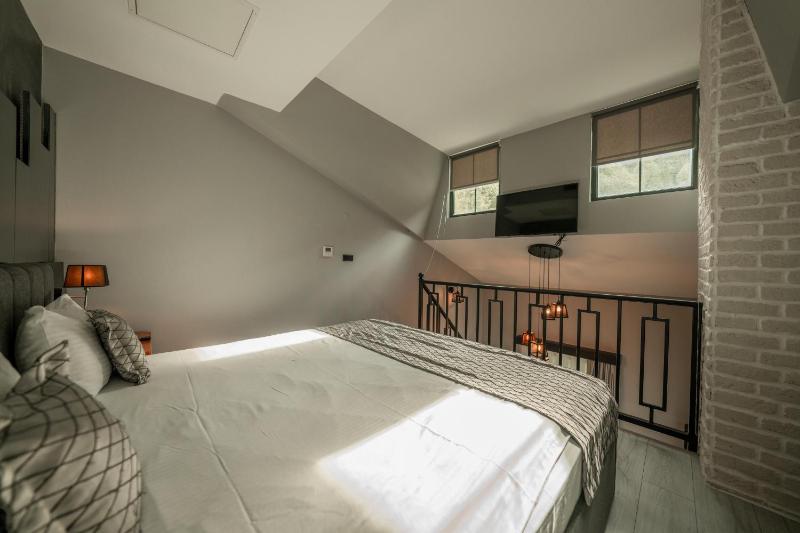 Deluxe Villa image 4