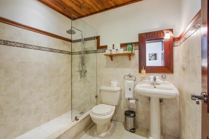 Luxury Villa on La Cana Golf Course with Pool Jacuzzi Cart & Maid - image 11