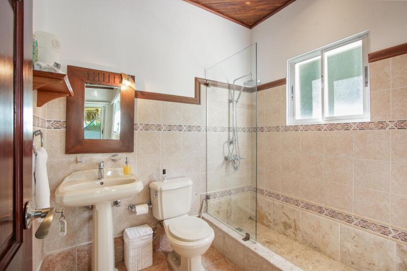 Luxury Villa on La Cana Golf Course with Pool Jacuzzi Cart & Maid - image 43