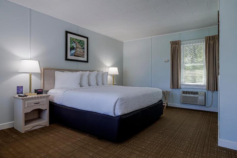 Standard King Room  (Max 2 People) Building 1 image 3