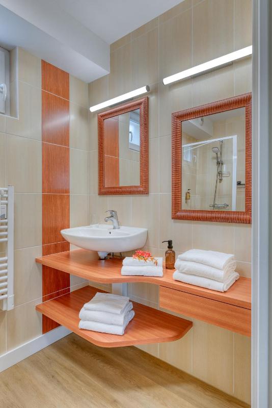 One-Bedroom Apartment image 2