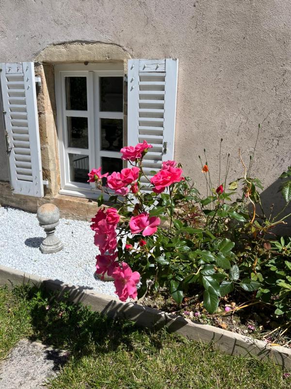L'Atelier d'Olga - Homillesime - image 11