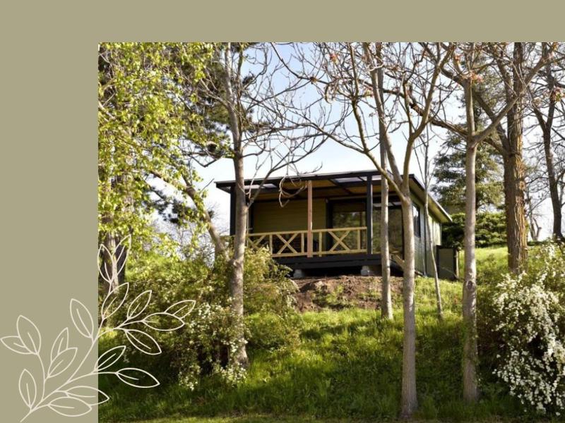 Two-Bedroom Chalet image 3