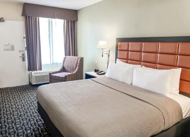Quality Inn Tampa Airport - Cruise Port - image 3