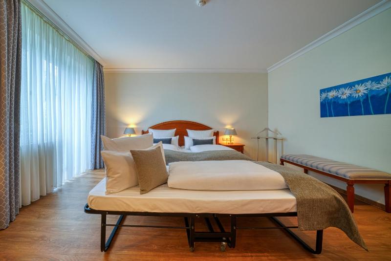 Superior Double Room image 1