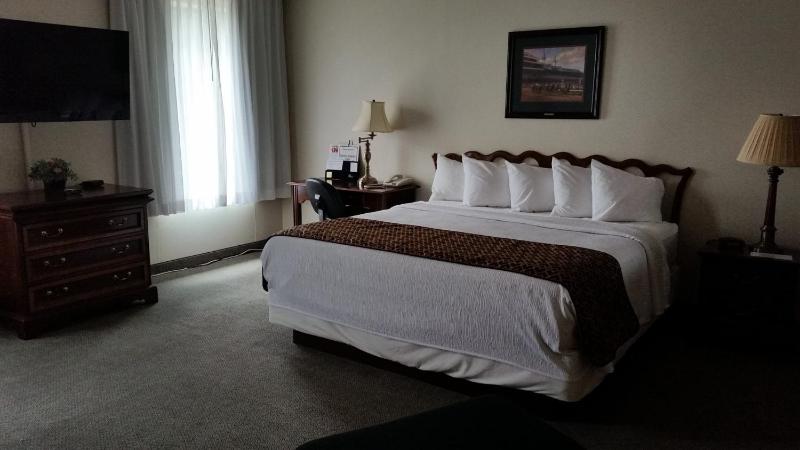 Single Room image 1