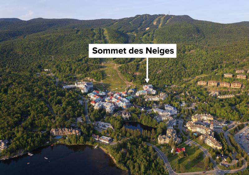Sommet Des Neiges - image 10